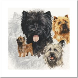 Cairn Terrier Medley Posters and Art